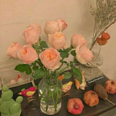 星空游戏app下载